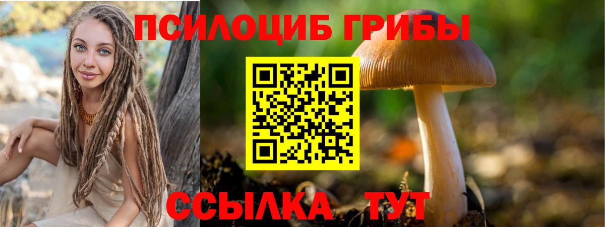 Псилоцибиновые грибы Cubensis  Вход с VPN  Тимашёвск 